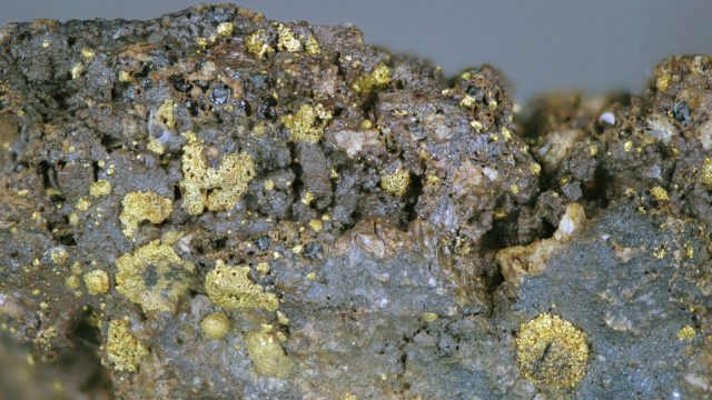На Закарпатті виявили нове велике родовище золота