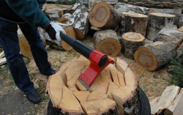 Чому лісівники на Берегівщині тимчасово призупинили відпуск дров?