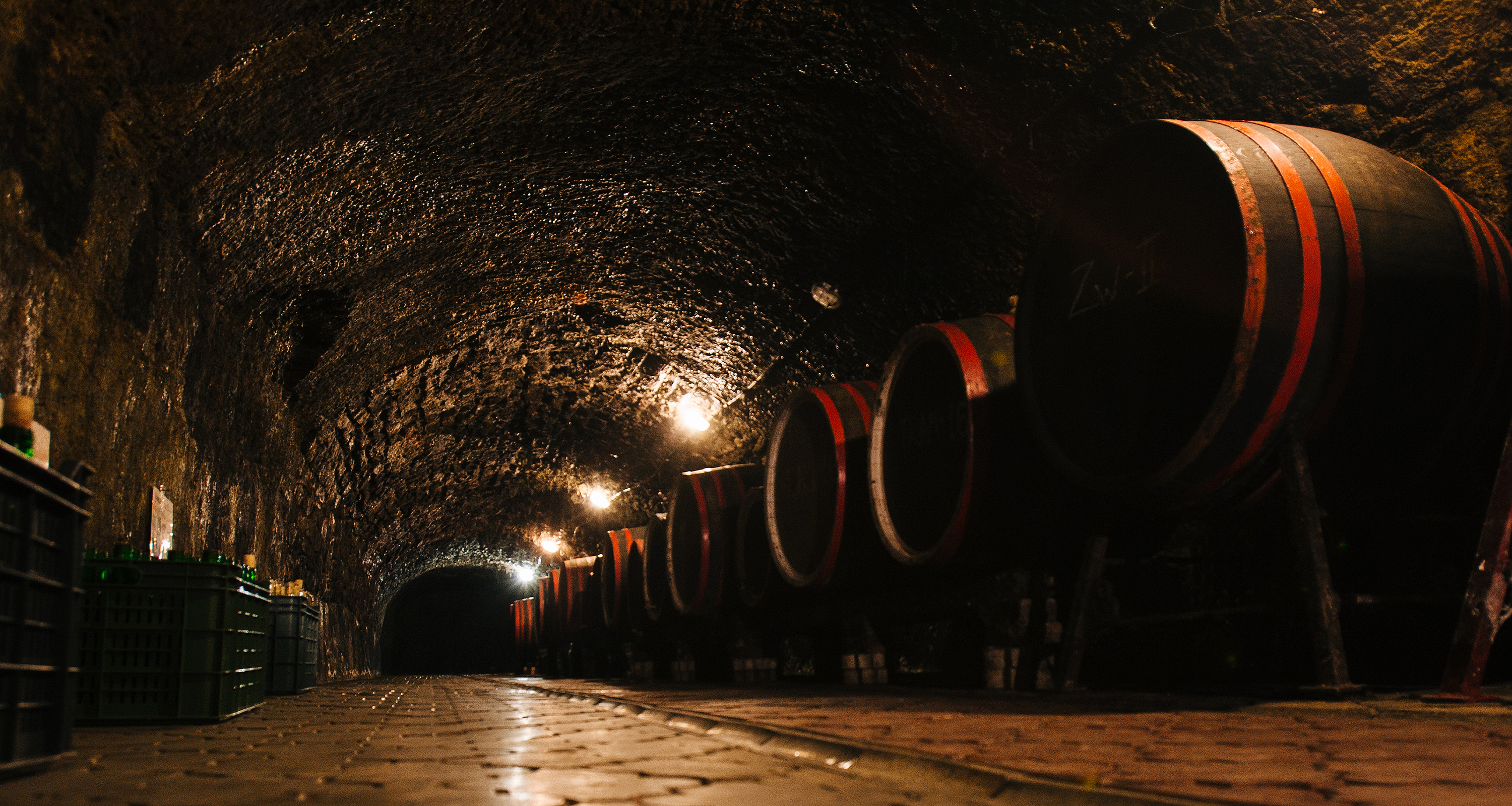 Закарпаття виноробне: що зберігають в старовинних підвалах Берегівщини?