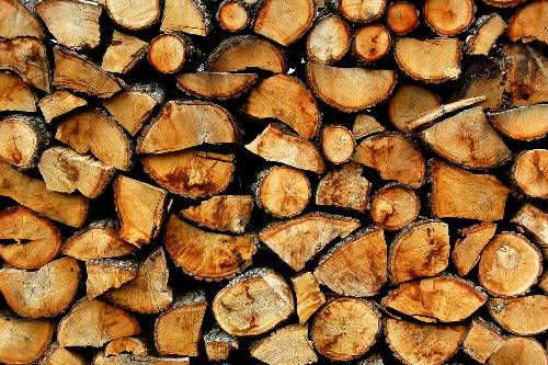 Стали відомі ціни на дрова в ДП “Перечинськe ЛГ”