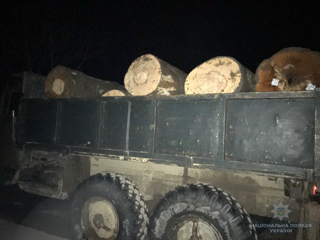 На Тячівщині поліція задокументувала факт перевезення нелегальної деревини