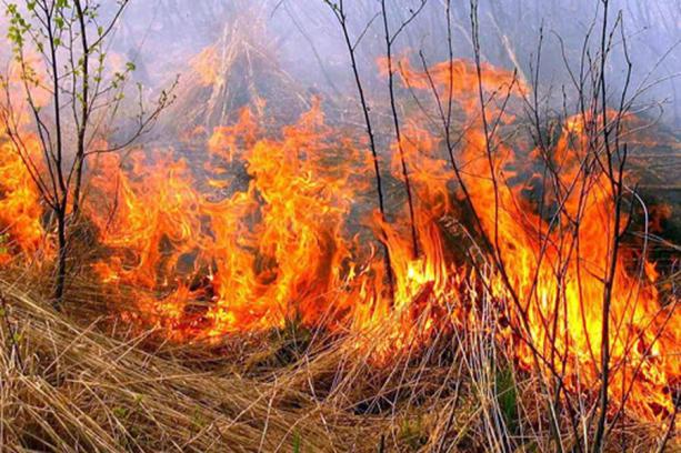 На Закарпатті почастішали випадки загорання сухої трави, місцями й чагарників на відкритій території