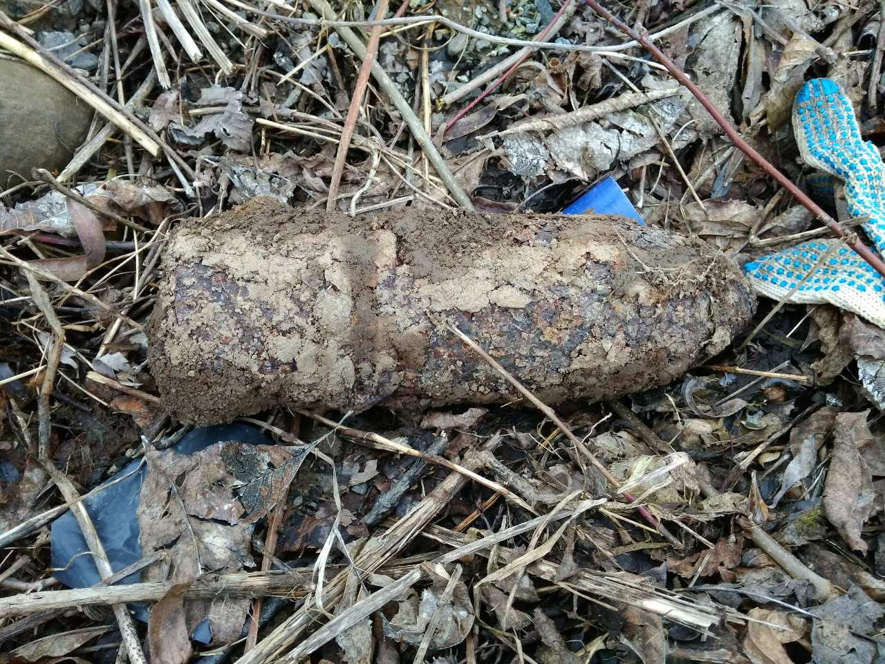 В Чопі піротехніки знищили артилерійський снаряд, котрий було виявлено на кладовищі (фото)