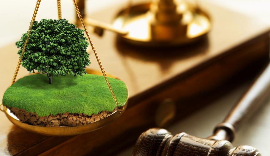 Мукачівська місцева прокуратура через суд вимагає збільшити розмір орендної плати за землю