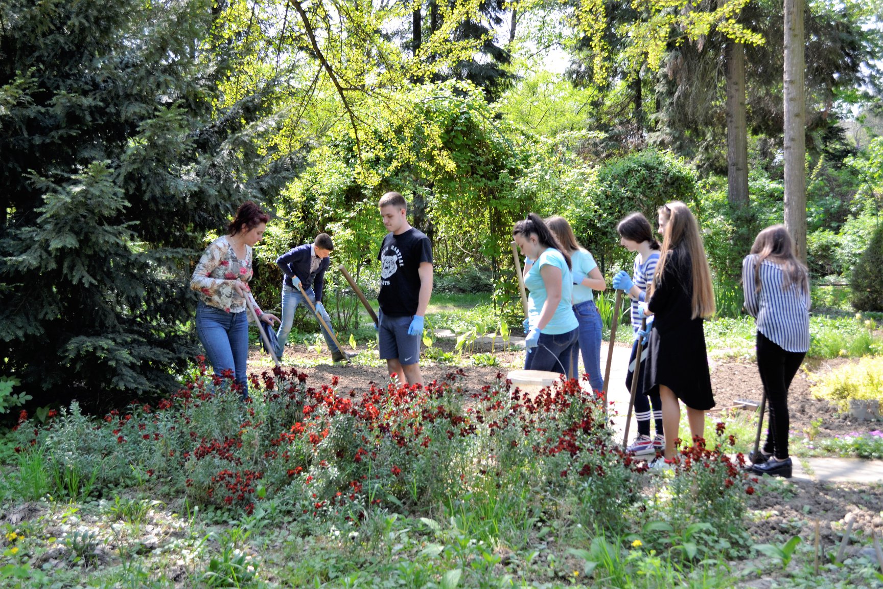 Ужгородські школярі допомогли працівникам ботанічного саду УжНУ