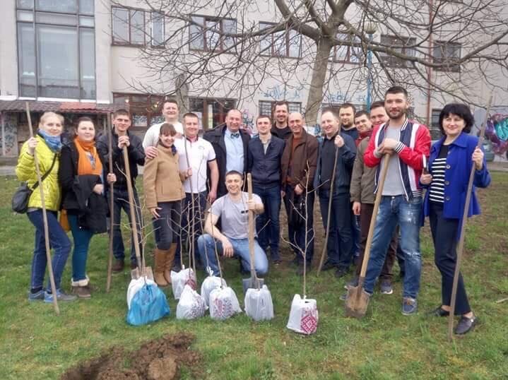 В Ужгороді з‘явилася перша на Закарпатті алея гінкго