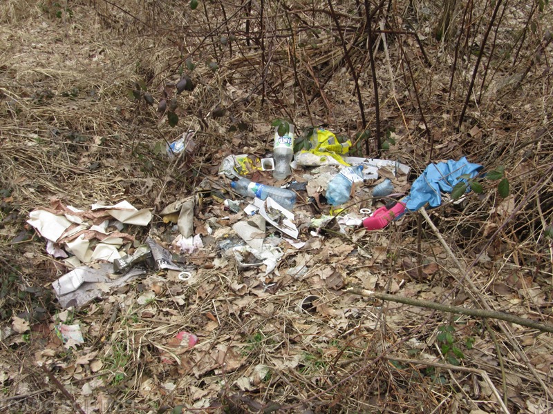 Про "гори" та "ріки" сміття на Закарпатті говорять навіть в сусідніх Угорщині та Словаччині