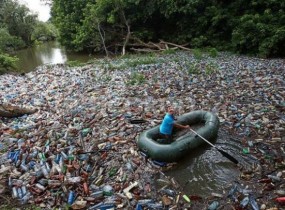 Угорці нажахані: закарпатське сміття заполонило Європейські річки