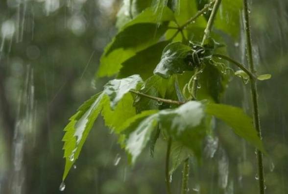 Прогноз погоди: 8 травня на Закарпатті очікуються грози та короткочасні дощі