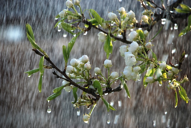 Прогноз погоди: 4 травня на Закарпатті прогнозують короткочасні дощі та грози