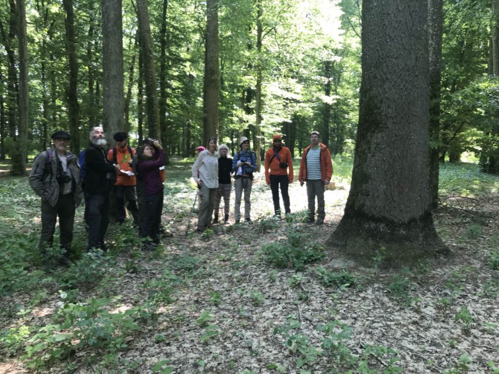 У Берегівському лісовому господарстві побувала делегація з Швейцарії