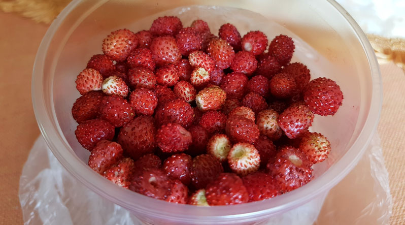На ринках Ужгорода з'явилась ягода від сотні хвороб