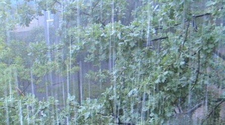 Прогноз погоди 21 червня: на Закарпатті місцями сильні зливи та град