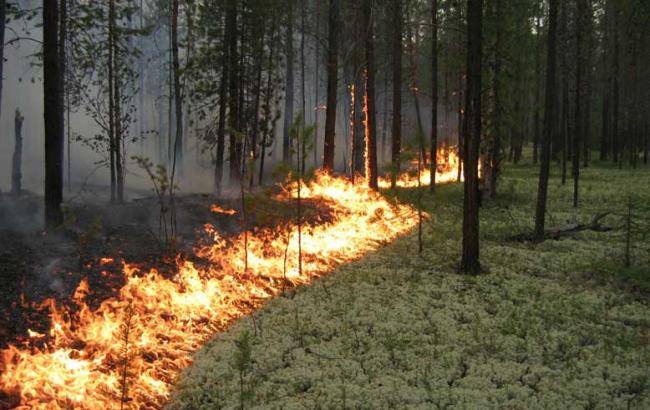 Закарпатців попереджають про надзвичайний рівень пожежонебезпеки