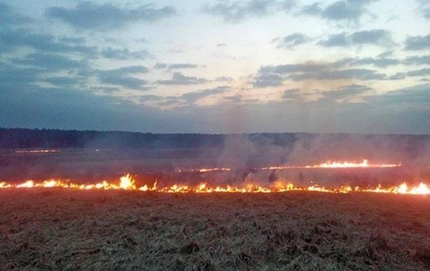 У Запорізькій області згоріли гектари пшениці