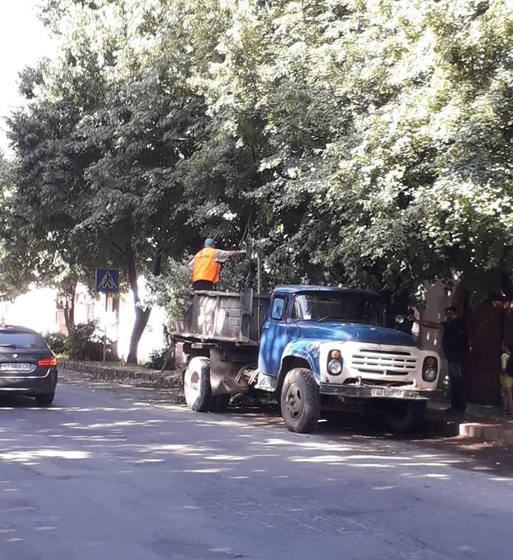 В Берегові обрізали дерева (ФОТО)