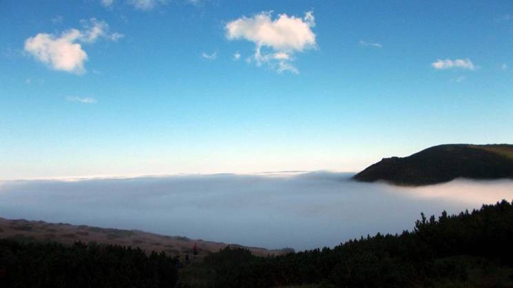 Неймовірне видовище: над хмарами можна опинитися в горах Закарпаття (ФОТО)