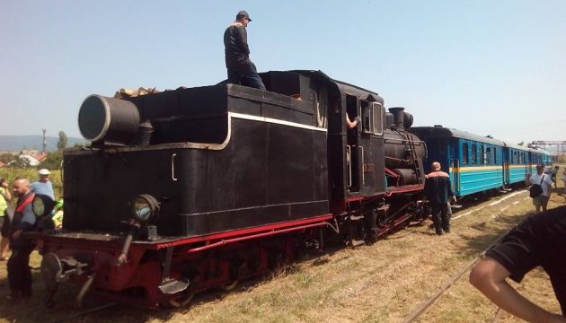 Для відновлення закарпатської «Анці Кушницької» створено благодійний фонд