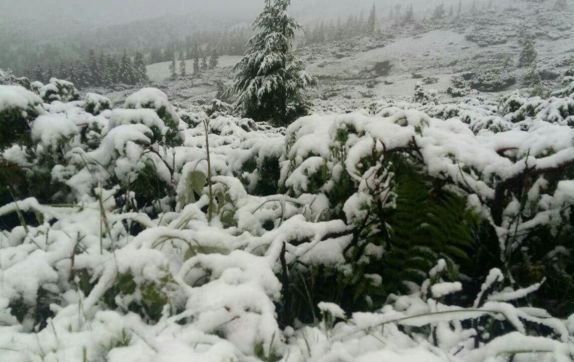 На Закарпатті туристів рятували з полону снігу (ФОТО)