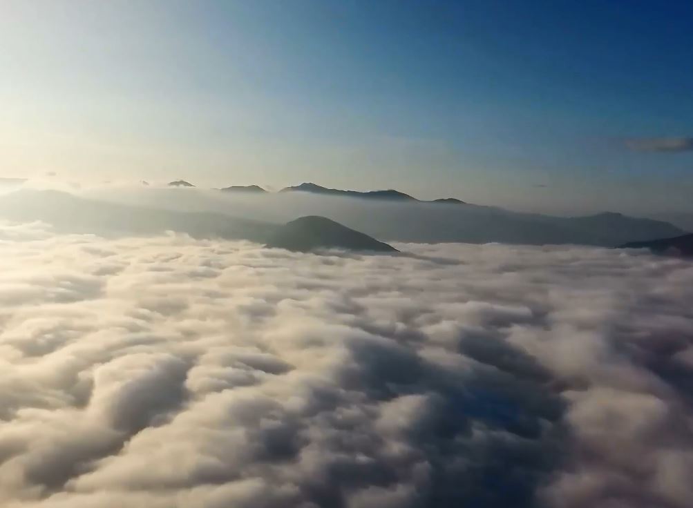 Хмари під ногами, ніби море – закарпатські лісівники відзняли неймовірне відео у горах (ВІДЕО)
