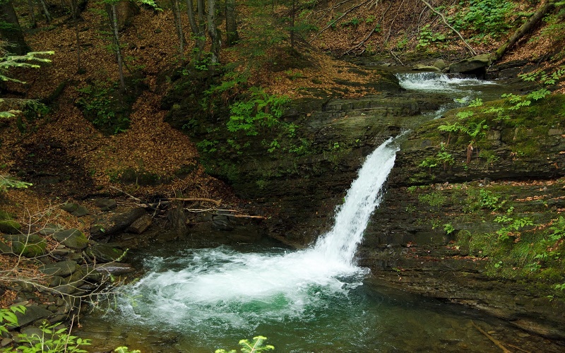 Водоспад "Крутило" - одна з принад Закарпатського краю (ФОТО)