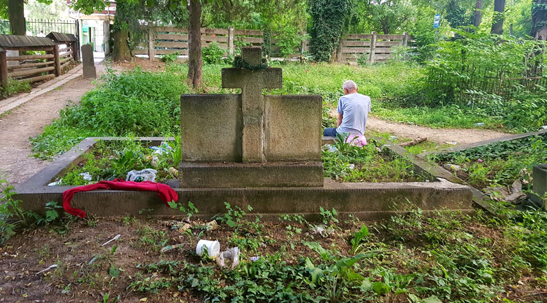 На покинутому кладовищі Ужгорода теж є життя