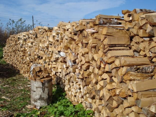 Стала відома вартість цьогорічних дрів на Березнянщині