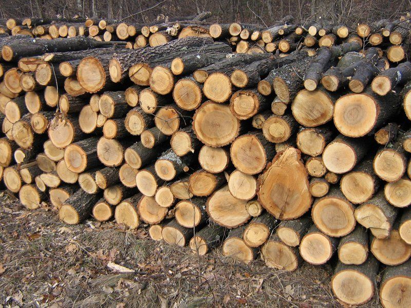 ДП “Виноградівський лісгосп” нагадує порядок виписки дров паливних