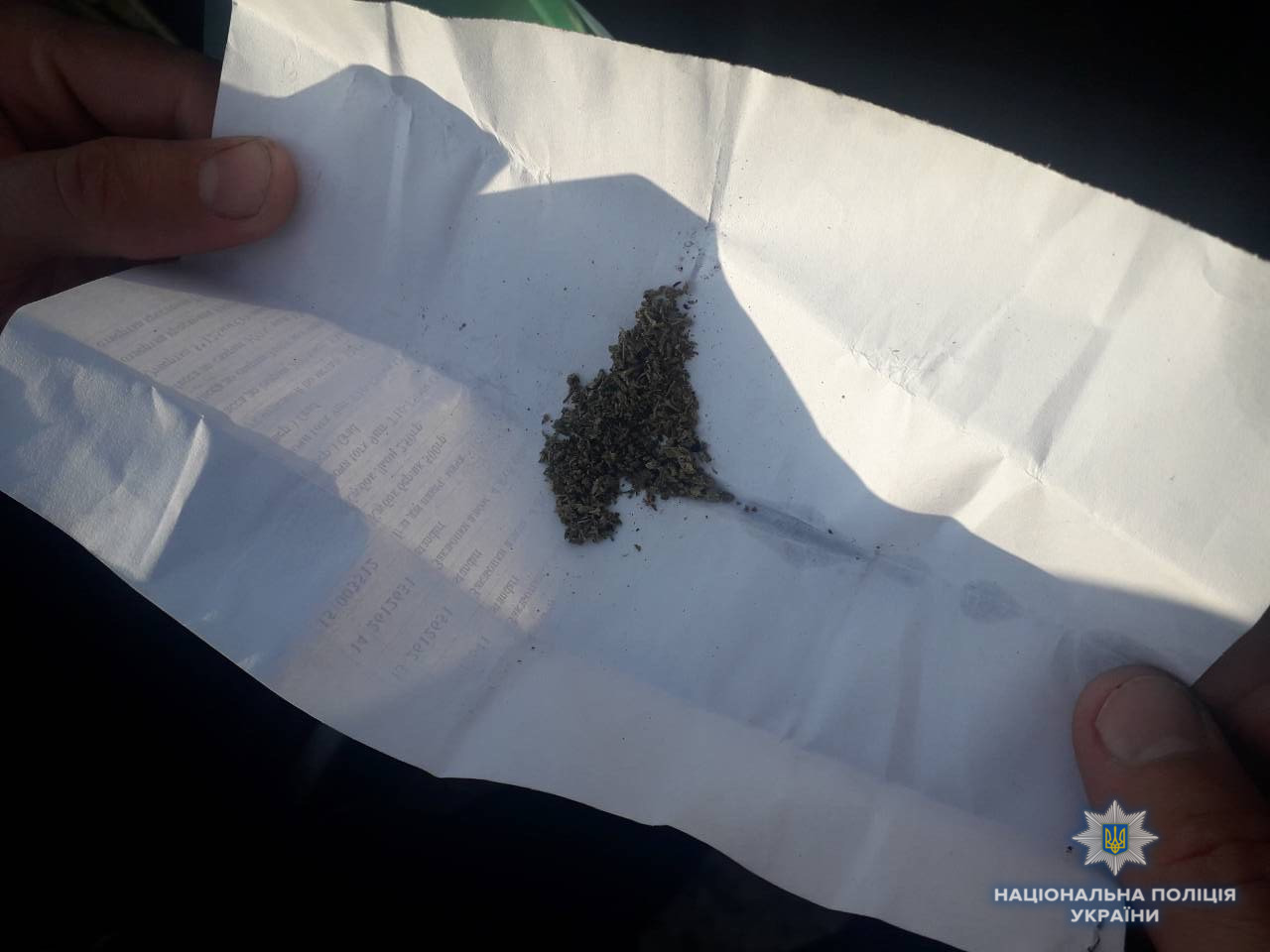 На Берегівщині поліцейські вилучили у водія наркотики (ФОТО)