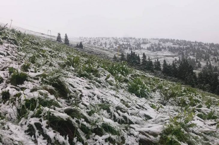 Контрастне закарпатське літо: на горі Піп Іван знову сніжило (ВІДЕО)