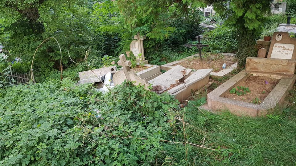 Повалені хрести та надгробні плити: в Ужгороді влаштували погром на кладовищі (ФОТО)