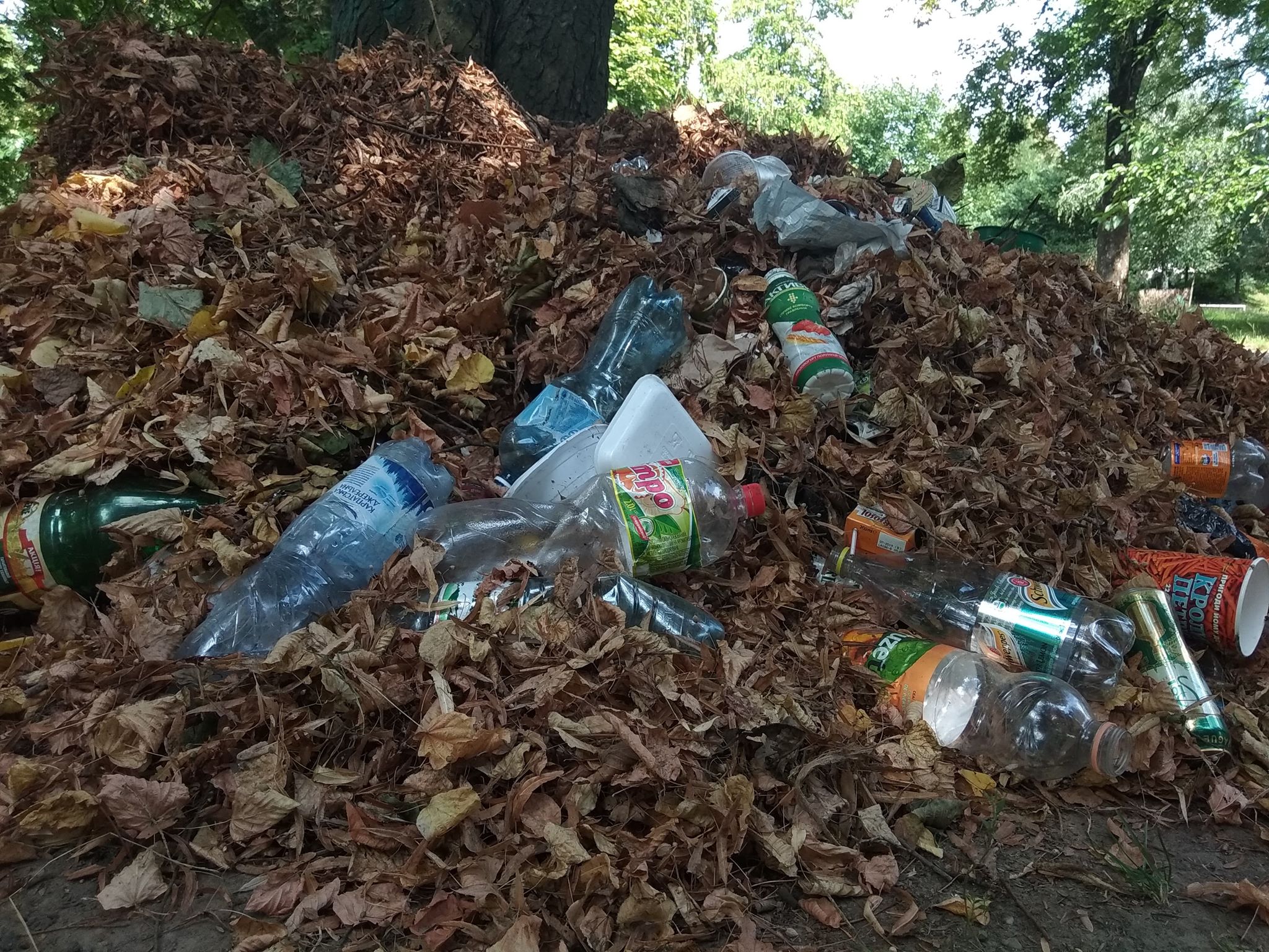 Посеред парку у Мукачеві "розляглося" сміттєзвалище (ФОТО)