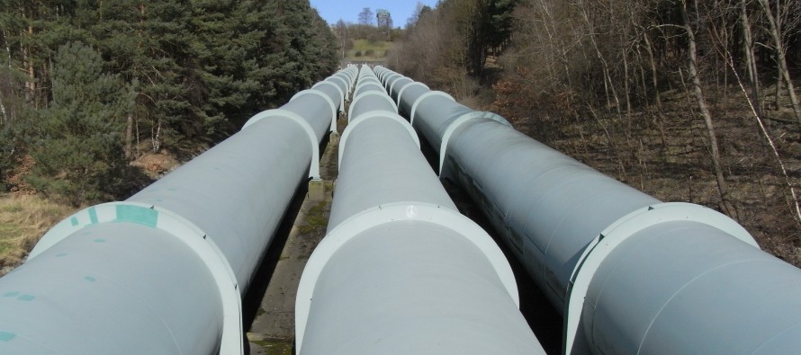 Державна екологічна інспекція у Закарпатській області повідомляє про наслідки витоку нафтопродукта