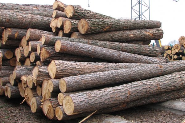 Дослідники виявили, що Україна експортує до ЄС незаконну деревину для постачальників Ikea і H&M