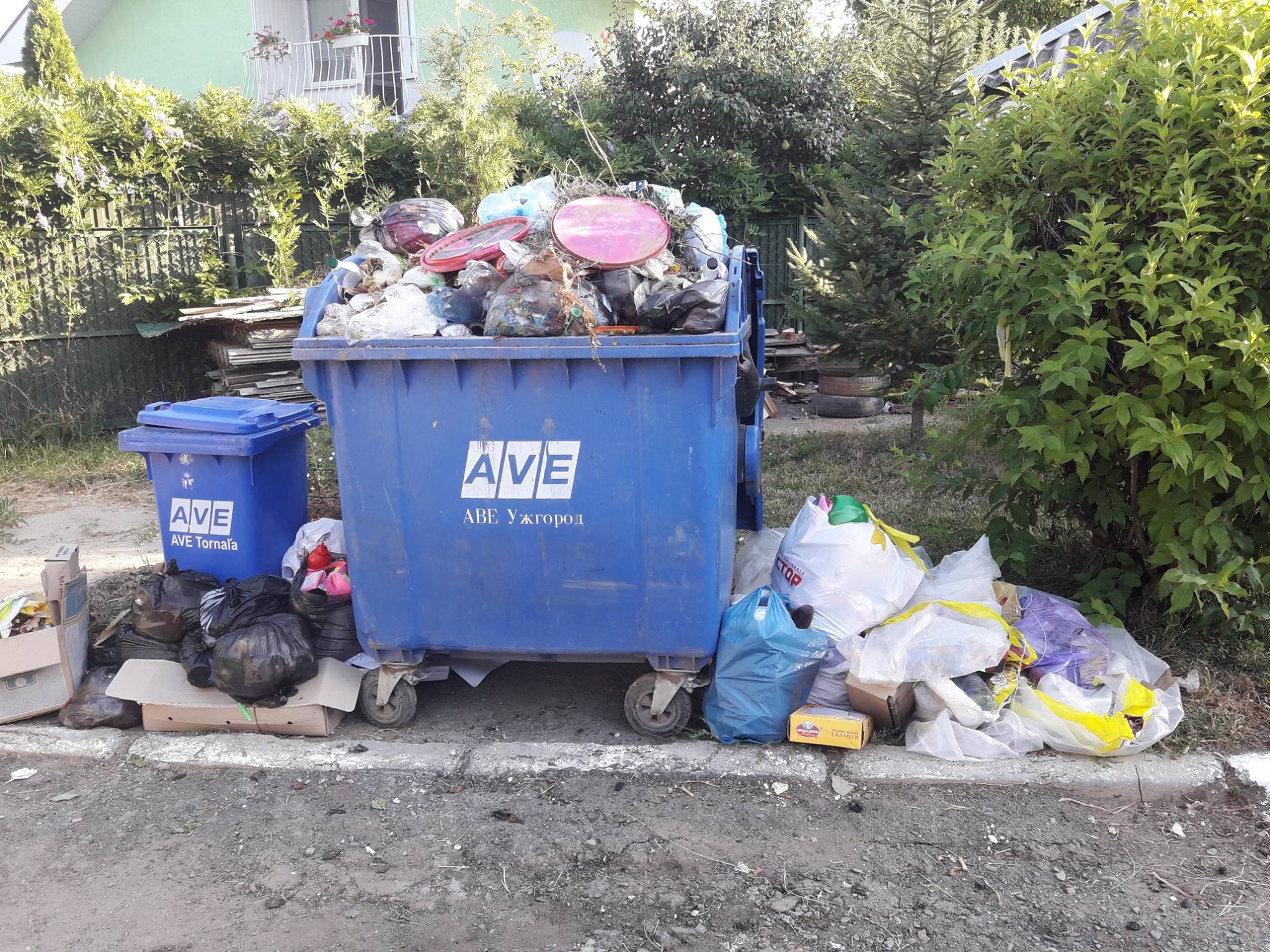 В Ужгороді "забули" вивезти сміття (ФОТО)