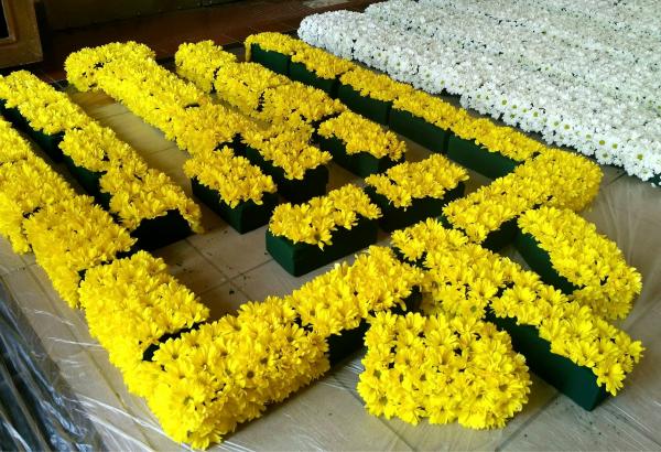 Флористи Закарпаття почали працювати над композицією з квітів до Дня Незалежності