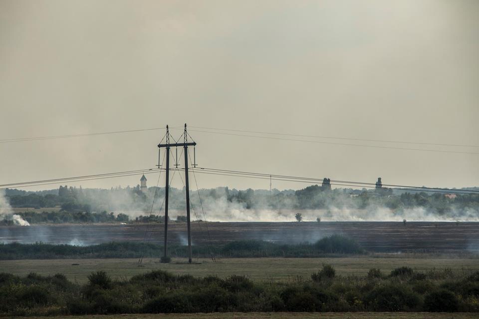 На Берегівщині пожежа: горять поля (ФОТО, ВІДЕО)