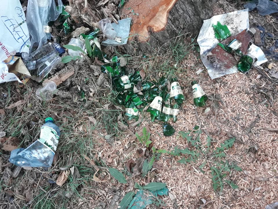 На березі річки Боржава "розляглося" сміття (ФОТО)