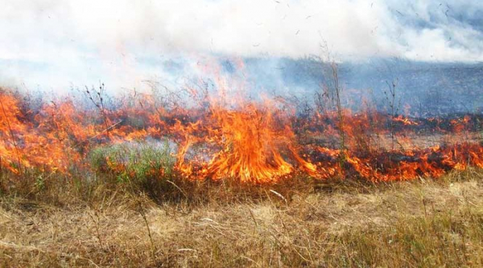 На Ужгородщині сталась масштабна пожежа