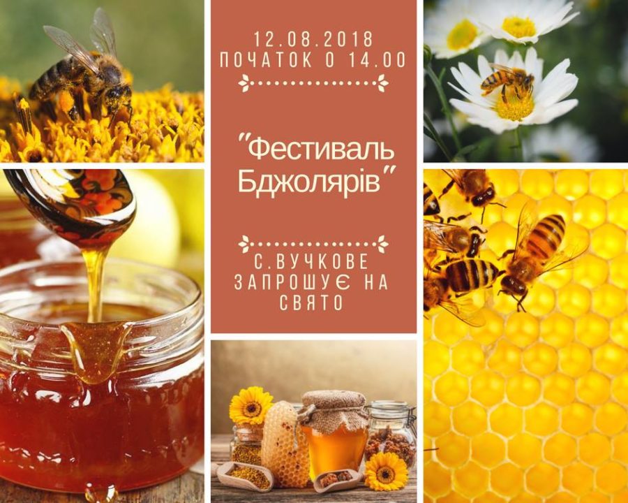 «Смак меду»: цієї неділі на Міжгірщині біля гейзера відбудеться фестиваль бджолярів