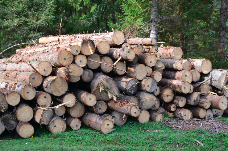 Для населення Перечинщини встановлені ціни на дрова
