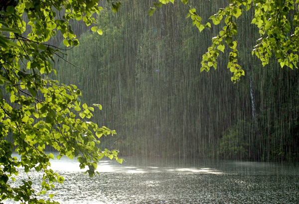 Прогноз погоди 15 серпня: на Закарпатті короткочасні дощі та грози, до +28°