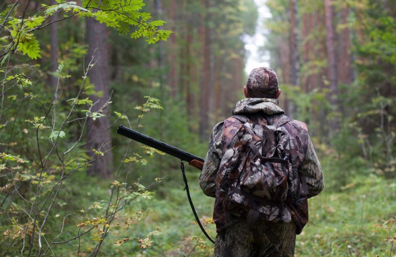 На Закарпатті розпочався сезон полювання: що потрібно знати мисливцям