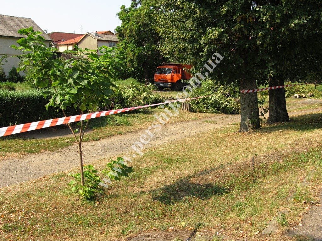 В центрі Мукачева огородили зелену зону: ріжуть дерева (ФОТО)