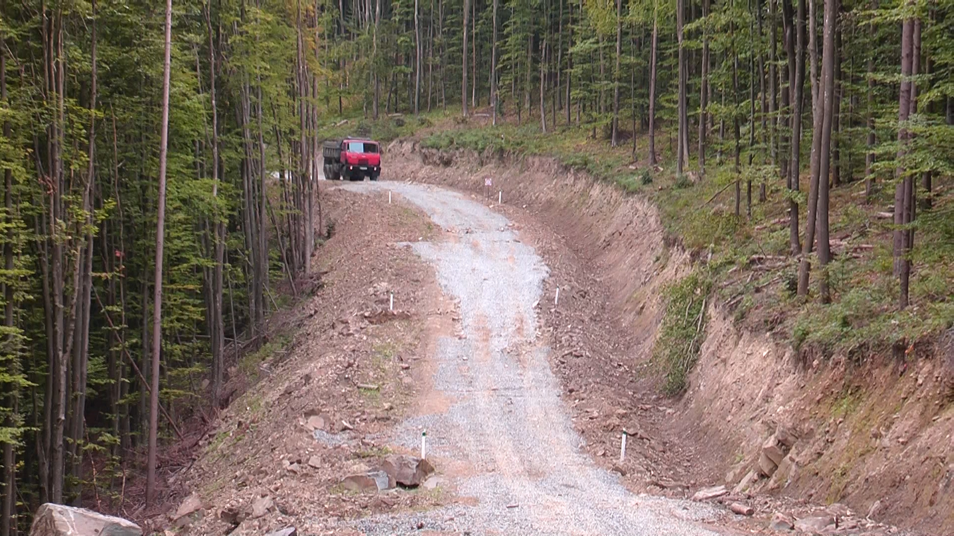 Лісівники Закарпаття продовжують будівництво лісових доріг (ВІДЕО)