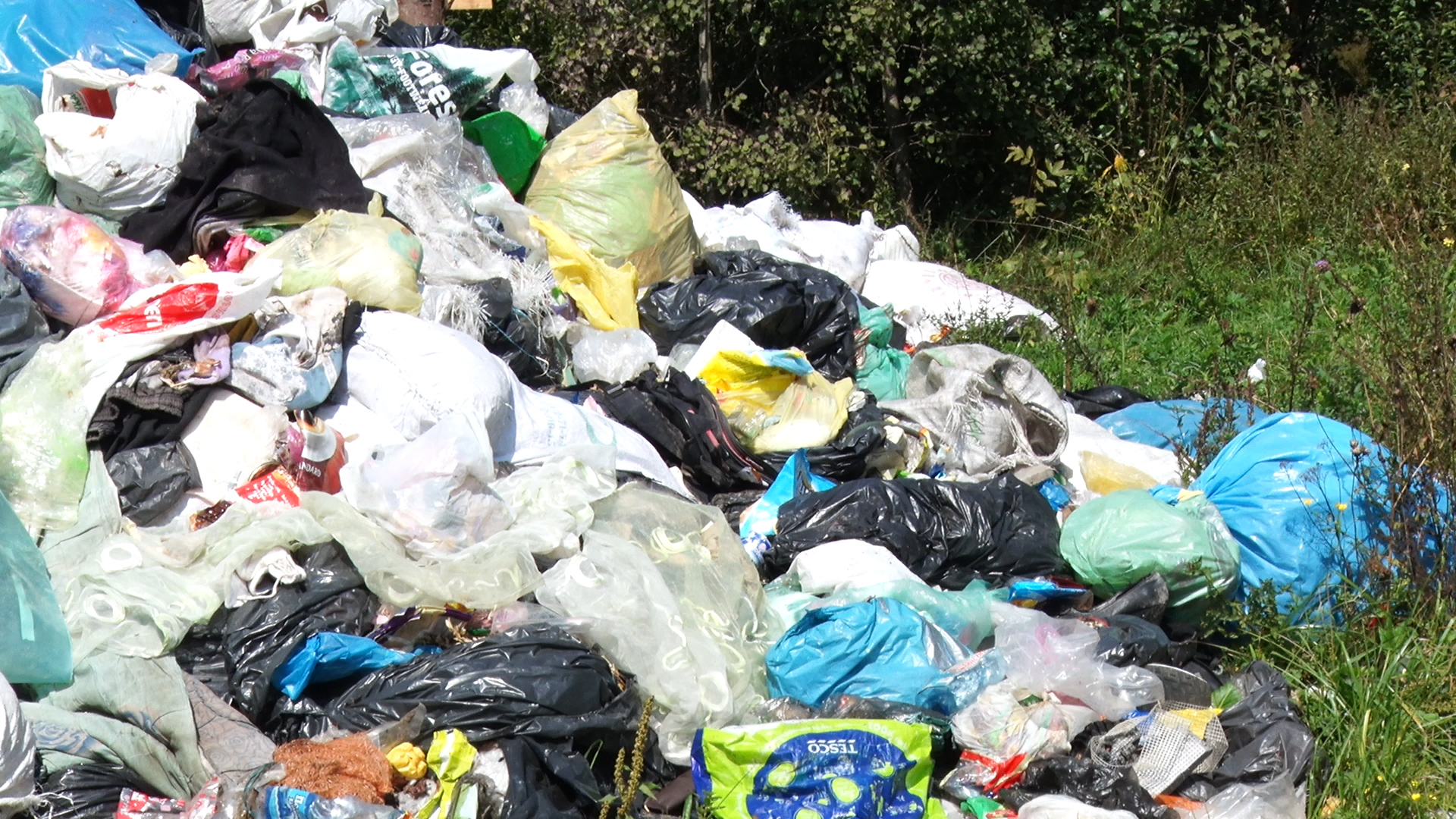 В Білині взяли курс на масштабне сортування сміття (ВІДЕО)