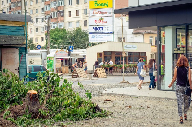Сакура або черешня: ужгородські комунальники зрізали здорове дерево?