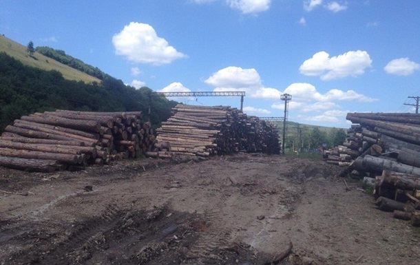 Верховна Рада дала дозвіл на вивезення дров за територію країни