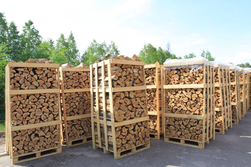 Воловецькі лісівники забезпечать 362 м³ дров для закладів освіти та бюджетних установ