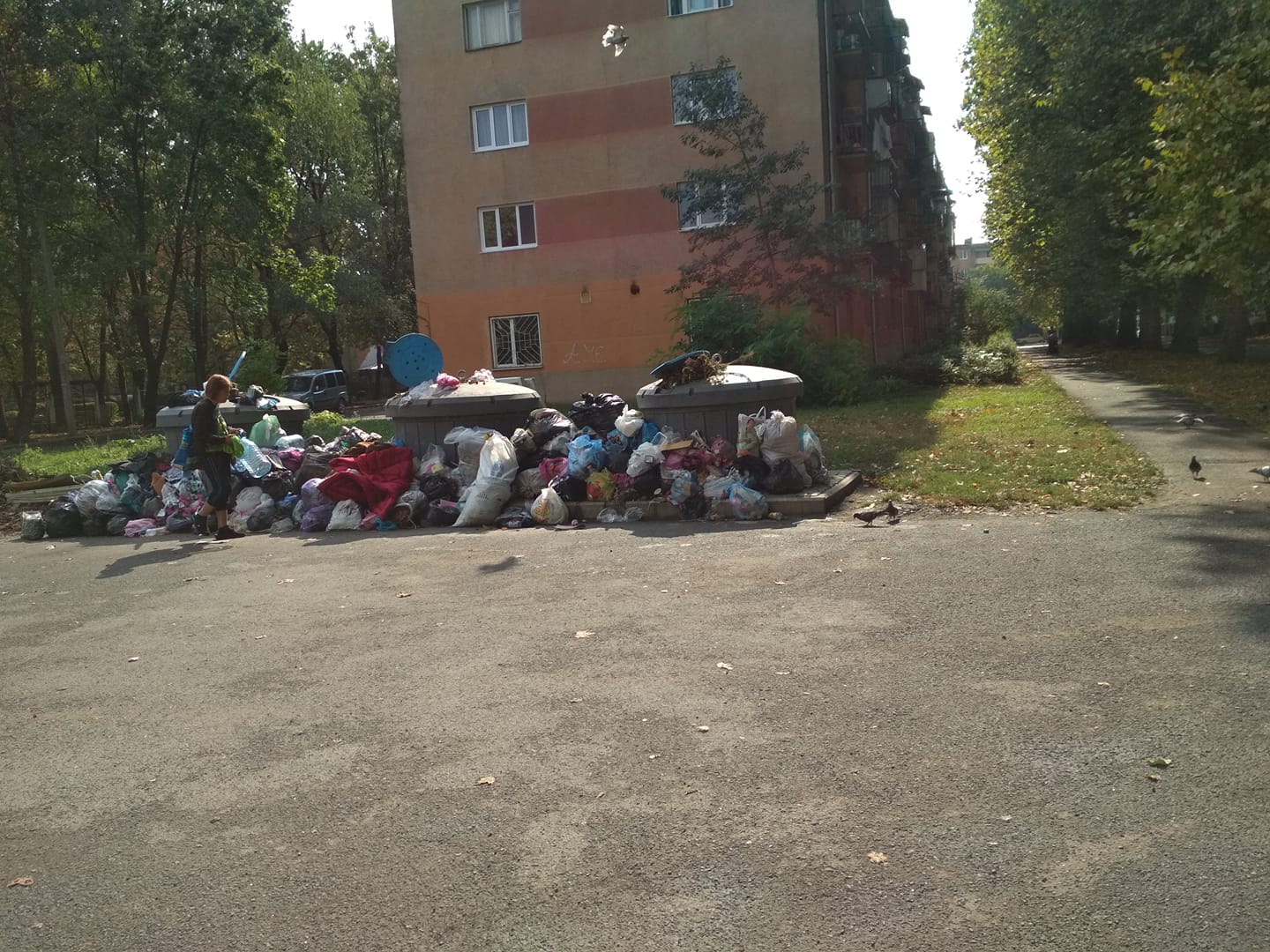 В Мукачеві біля дитячого садка розростається сміттєзвалище (фото)